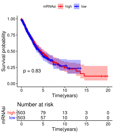 20260120173210_4925.png
